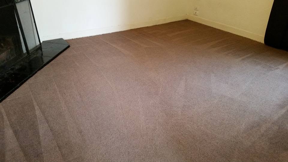 Clean carpet result after a Zig Zag Carpet Cleaning job in Adelaide