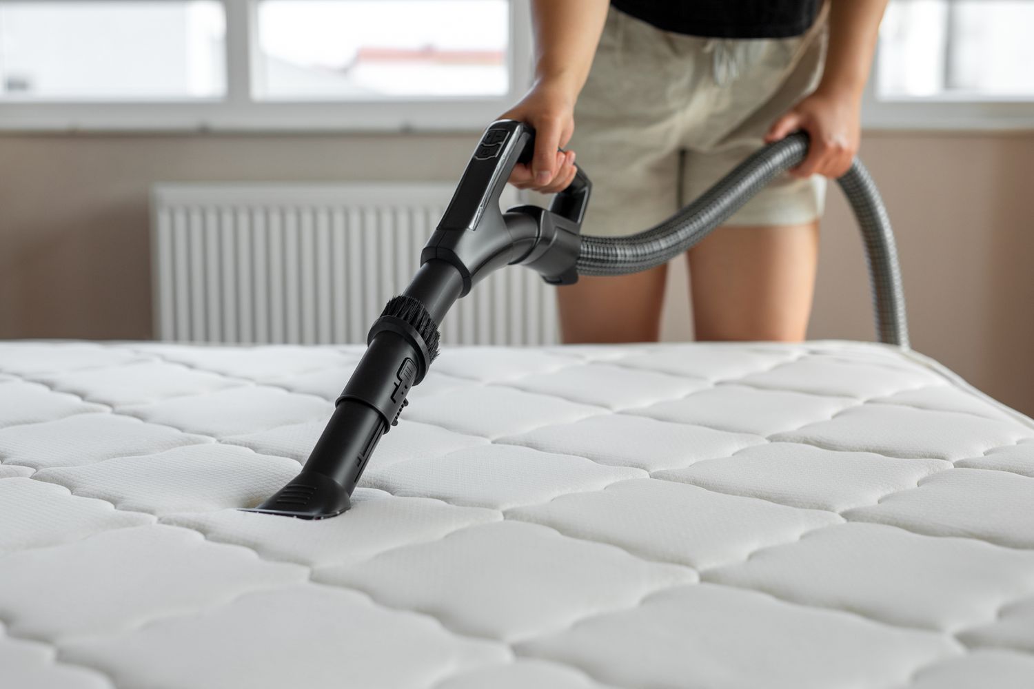 Technician cleaning a mattress in an Adelaide home